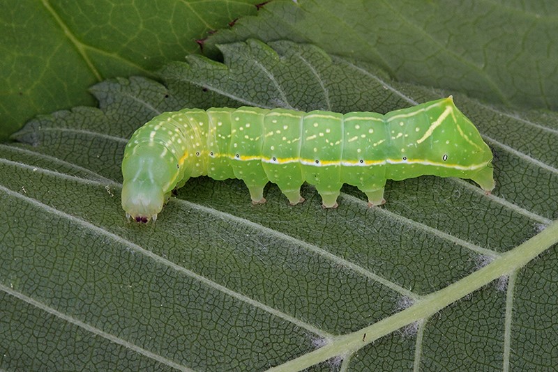 41678d45-1ce7-4cb9-b590-37f9bd0e5862